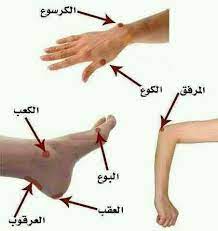 L'autisme no és una malaltia en el sentit estricte de el terme, sinó que és una síndrome. Ù…Ø§ ØªØ¹Ø±Ù ÙƒÙˆØ¹Ùƒ Ù…Ù† Ø¨ÙˆØ¹Ùƒ Arabic Language Learning Arabic Learn Arabic Language