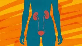 How long does it take to clear a check? Recurring Utis Frequent And Chronic Everyday Health