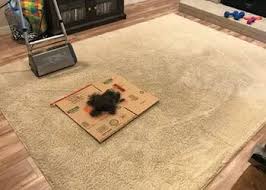 Things to do in arlington, tx. 3 Best Carpet Cleaners In Arlington Tx Expert Recommendations