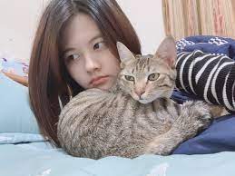 9,188 likes · 9 talking about this. åä¸‰ç'œ Home Facebook