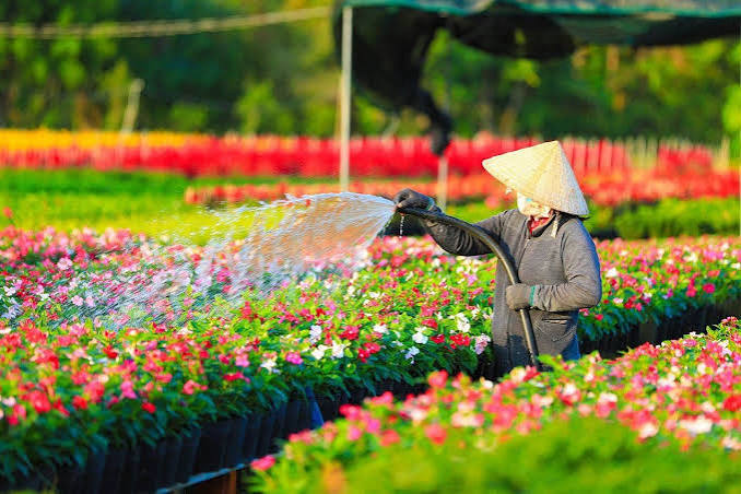 TOUR ĐỒNG THÁP – LÀNG HOA SA ĐÉC – CẦN THƠ 2N1Đ