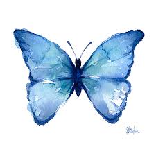 The common blue (polyommatus icarus) is the most widespread, small butterfly across europe. Blue Butterfly Watercolor Painting By Olga Shvartsur