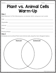 Download and print worksheets for teaching students about animal and plant cells. Plant Vs Animal Cells