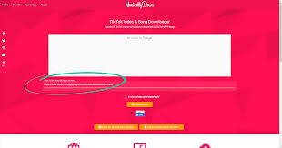First of all, it's a tiktok downloader. Remove Tiktok Watermarks With These 5 Apps How To Use Them