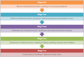 5 Stages Of Kidney Disease Kidneybuzz Kidney Disease Awareness Polycystic Kidney Disease Kidney Disease Stages