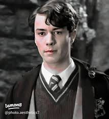 46 top Tom Riddle Aesthetic ideas in 2025
