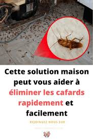 Cette Solution Maison Peut Vous Aider A Eliminer Les Cafards Rapidement Et Facilement Cafards Produit De Nettoyage Faits Maison Recette De Lessive