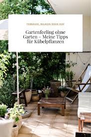 Gartenfeeling Ohne Garten Meine Tipps Fur Kubelpflanzen Kubelpflanzen Garten Pflanzen