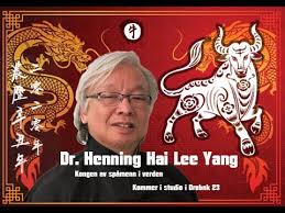 Image result for henning hai lee yang