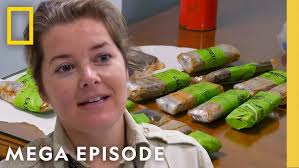 Healing Hands for Haiti Jeff Randle, MD 2010 Pioneers of Progress  President's Award