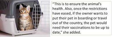 Search for veterinary schools in your area and ask if they offer discounted services for pets. Coronavirus Are Vet Clinics Open In The Uae How Can I Get Pet Food Living Ask Us Gulf News