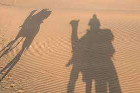Many people complain of camel safaris usually depart early in the morning to allow some distance to be covered, and a. Shadow Of People On Camels Walking In The Desert By Ibex Media Stocksy United