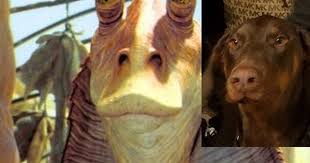 Your Lightsabers Will Make A Fine Addition To My Collection Template My Dog Looks Like Jar Jar Binks May The 4th Be With You Http Ift Tt 2ple8uz Star Wars Characters Star Wars Canon Star Wars