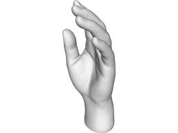 Hand 3d Model Download 3d Model Model Human