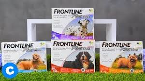 Simparica trio treats, controls, and prevents more parasites than any other oral product. Frontline Plus Flea Tick Treatment For Dogs Chewy Youtube