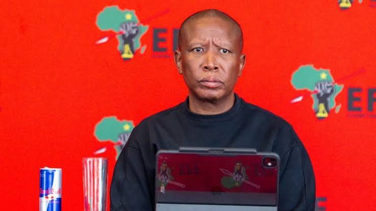 Julius Malema's EFF under siege – Newsday
