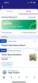 I want to buy my daughter a magic band for Christmas as part of her  surprise to tell her we are going to Disney in June, is there anywhere  other than Amazon
