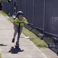 The perfect hutao animated gif for your conversation. Attack Birds Gif By Scorpion Dagger Find Share On Giphy
