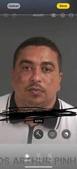 I wish I'd seen this before. Lindenmayer is at it again. He has no  credibility as he works to an agenda, and sues or threatens to sue anyone  who stands in his