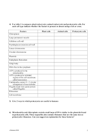 Prokaryotic cells and eukaryotic cells are the two types of cells that exist on earth. Comparing Prokaryotic And Eukaryotic Cells