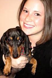 The Long and Short of it All: A Dachshund Dog News Magazine: Meet Sam the  Service Dog!
