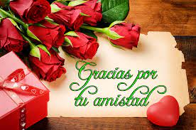 ROSAS PARA EL GRUPO EN EL 2020 - Amigos de Gabito - Gabitos