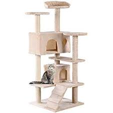 Maybe you would like to learn more about one of these? Pin On Felines