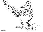 December 27th, 2020 21:47:06 pmroadrunneradmin. Bird Coloring Pages