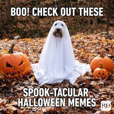 20 Best Halloween Memes 2021 Reader S Digest