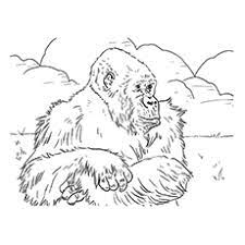 Select from 27516 printable crafts of cartoons, nature, animals, bible and many more. 10 Cute Free Printable Gorilla Coloring Pages Online