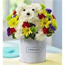 Memorial flowers can personalise your item with name, photographs or any messages you would like to include. 1 800 Flowers A Dog Able Carle Place Ny