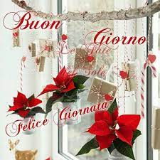 Buongiorno Natalizio Auguri Di Buon Compleanno Buongiorno Buon Compleanno