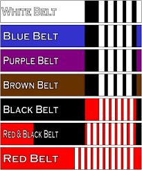 Jiu Jitsu Belt Colors Belt Image And Picture