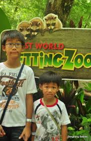 Here's your chance to get up close and personal with these magnificent animals. Lost World Tambun Petting Zoo Archives Sengkang Babies