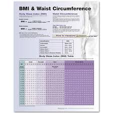 Bmi Waist Circumference Laminated Chart Bmi Waist
