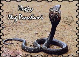 Happy nag panchami 2021 wishes, quotes in hindi, nag panchami images, greetings, whatsapp status, messages: Happy Nag Panchami Hd Wallpapers And Photos Gallery God Wallpaper