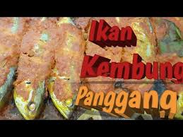 Ikan cupang membutuhkan tempat bersembunyi dan bermain di akuarium, jadi penambahan tanaman hidup amat direkomendasikan. Cara Memanggang Ikan Dengan Oven Listrik