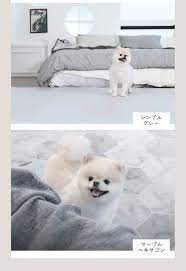 ボード わんにゃんマット のピン