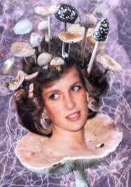 Brett Beach and Dave Koenig