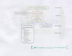 Neonatal Seizure Classification International League