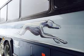 Mardi gras casino & resort offers the best in gaming & accommodations in wv. Greyhound S Gone And We Re Way Past Time For A Regional Transit Re Think Guelph News