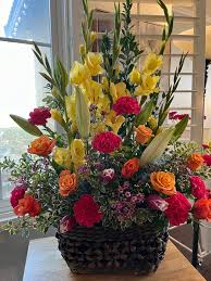 Image result for Gladiolus decoratus