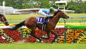 競馬2021 競馬2021 競馬2021 競馬2021 競馬2021 競馬2021 競馬2021 競馬2021 競馬2021 競馬2021 競馬2021 競馬2021 競馬2021 競馬2021 競馬2021 競馬2021. Nihdnkuuy6jegm