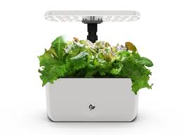 Compact Smart Garden System