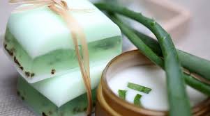Apprenez A Fabriquer Du Savon A L Aloe Vera Pour Eliminer L Acne Et Les Rides En 2020 Fabriquer Du Savon Savon A La Glycerine Recettes De Savon Maison