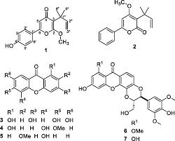 Image result for Hypericum peplidifolium