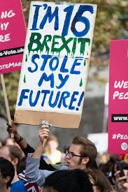 Image result for brexit protest signs