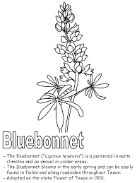 Check spelling or type a new query. Bluebonnet Coloring Page Blue Bonnets Flower Coloring Pages Coloring Pages