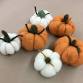 Needle Felted Pumpkins event image