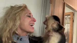 Usually Active/not so active-05